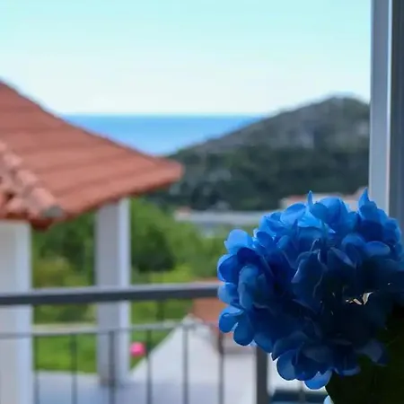 Vista - Blue Horizon Mlini
